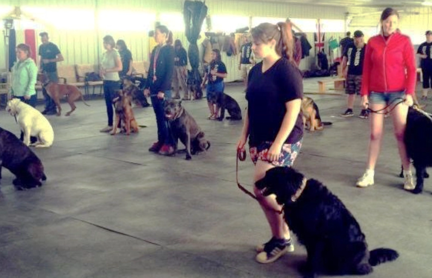 Civilian K9 training
