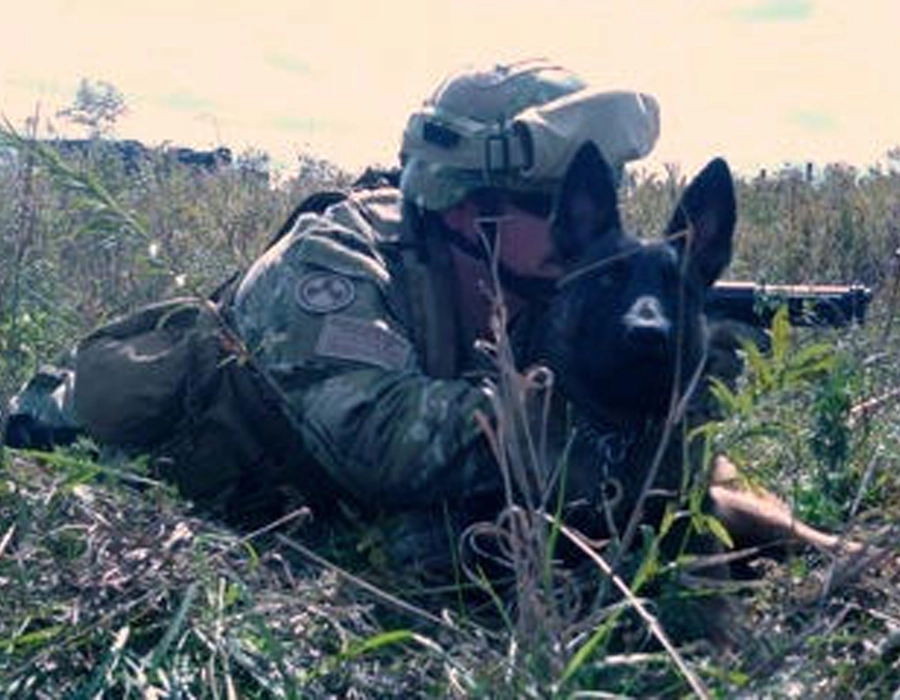 K9 detection training