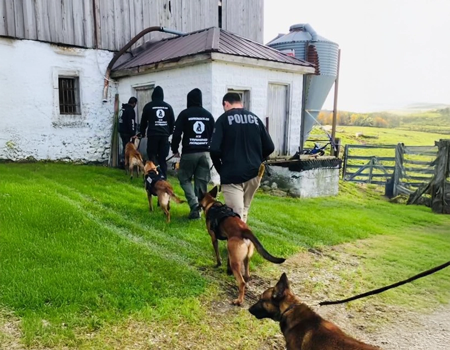 Civilian K9 training session