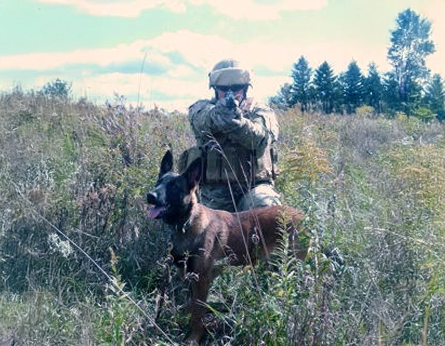 K9 protection training